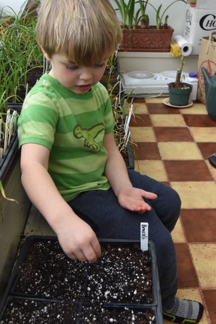 landon will broc seeds.jpg
