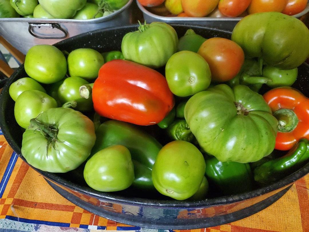 Last Tomato harvest, #2, 10-16-22.jpg