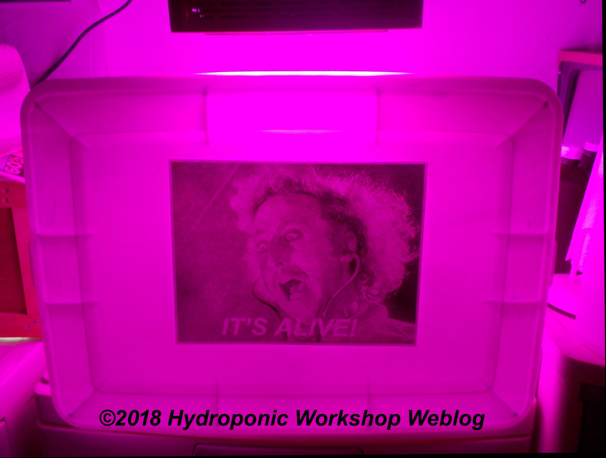 LED GROW.jpg