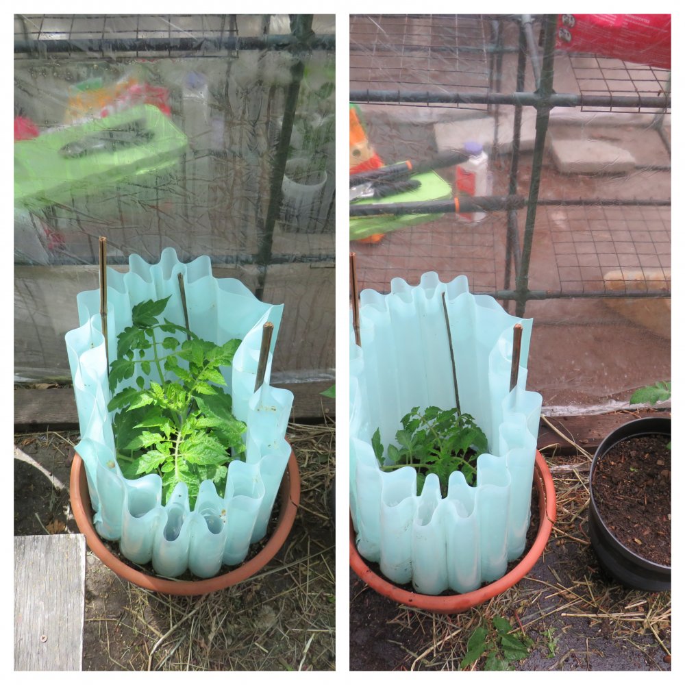 left today, right May 12.jpg