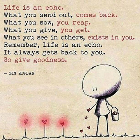 life is an echo.png