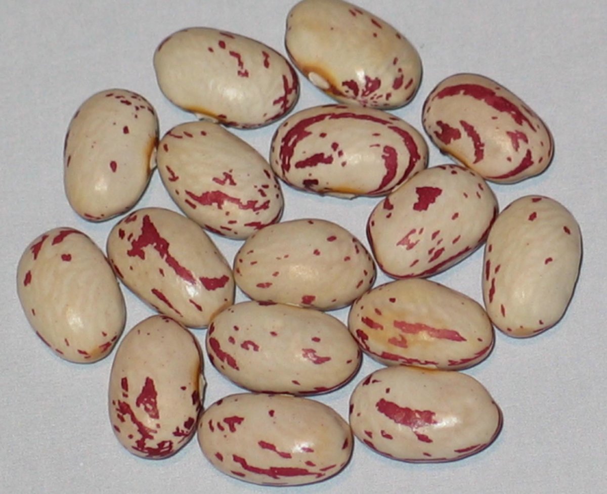 Linas Sisco Bird Egg.jpg