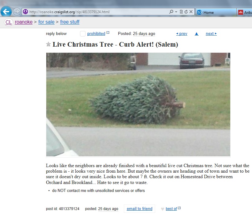 live tree.jpg