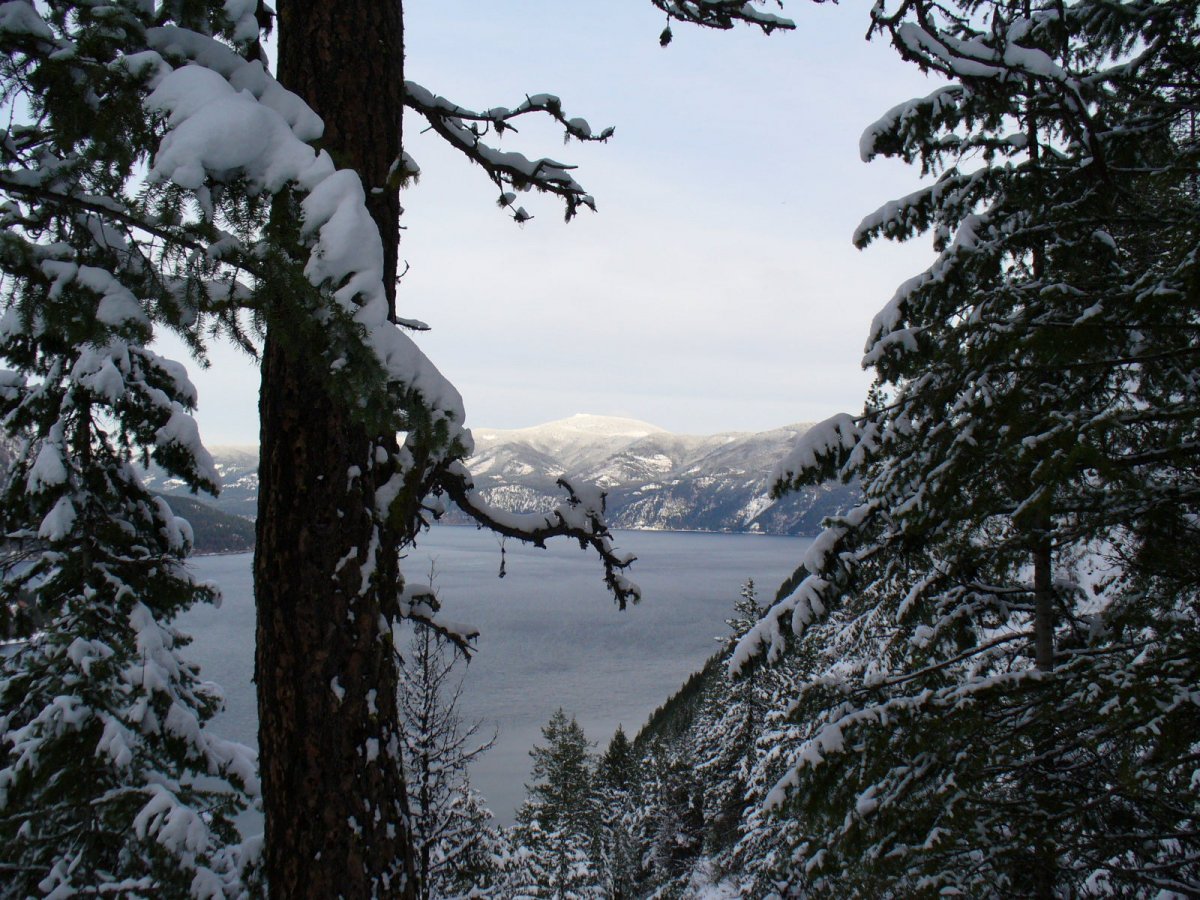 lookout in snow012.jpg