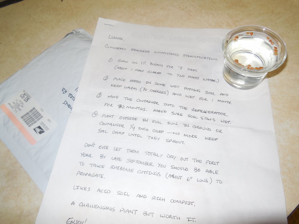 Mailer and directions.JPG