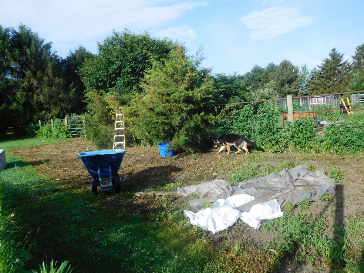 Main bed NOT YET planted, 07-04-19.jpg