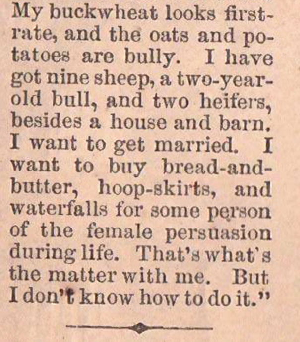 man-looking-for-wife-ad-nineteenth-century-4.jpg