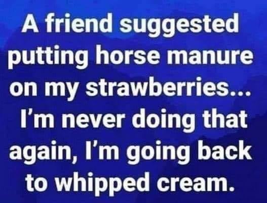 manure on strawberries.jpg