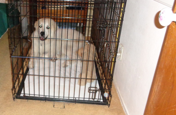 Marble in Crate  email.jpg