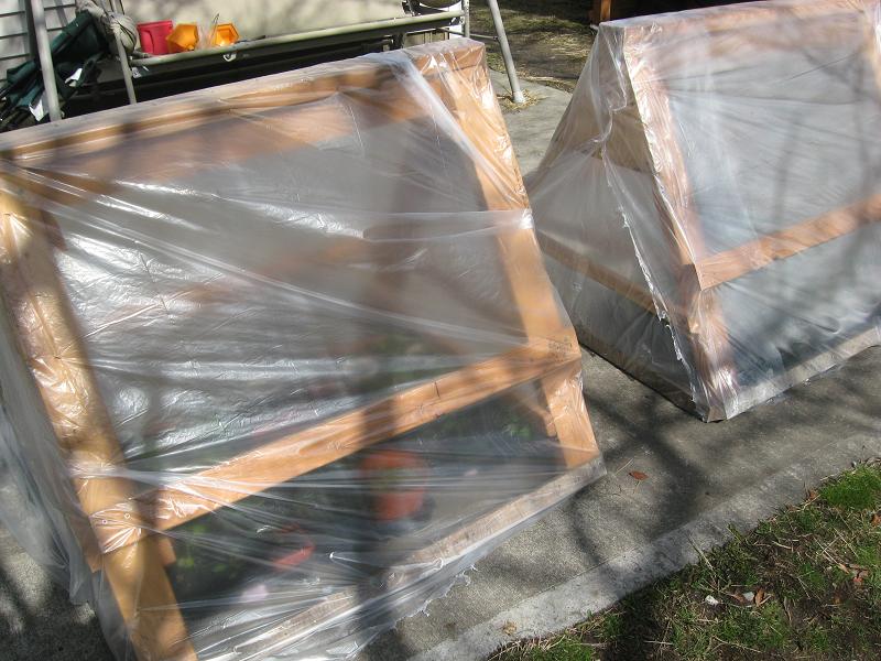 March 23 both greenhouses.jpg