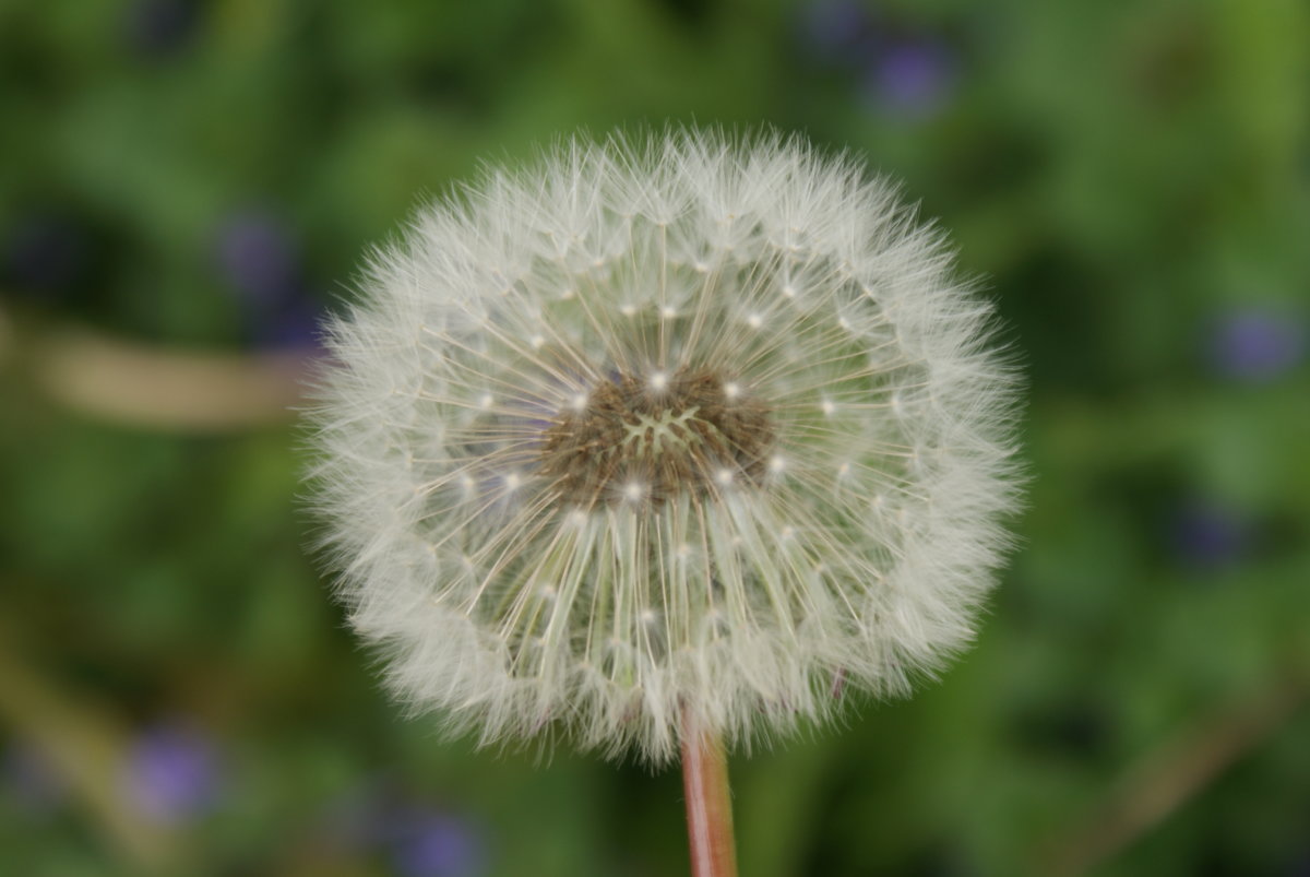 may 15, 2010 097.JPG