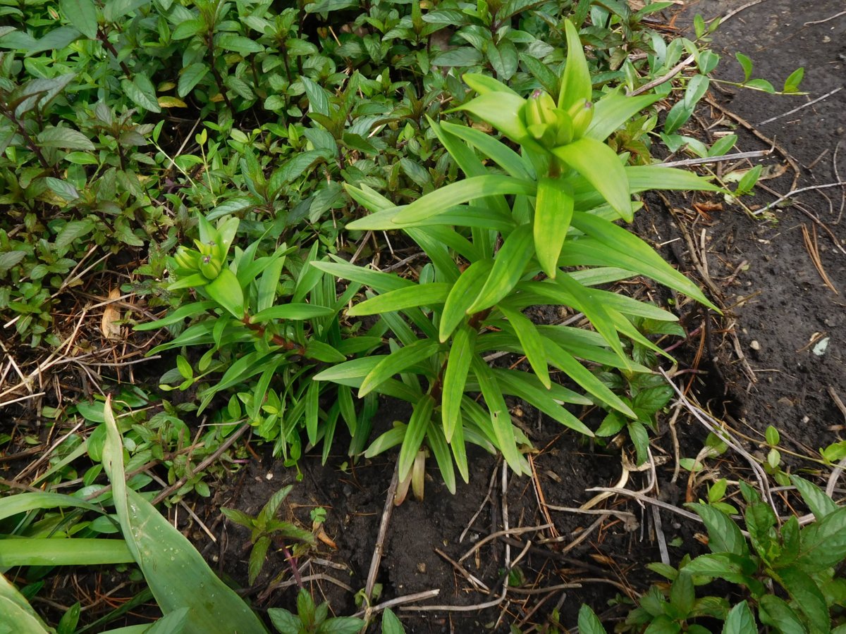 May 23 #10.jpg