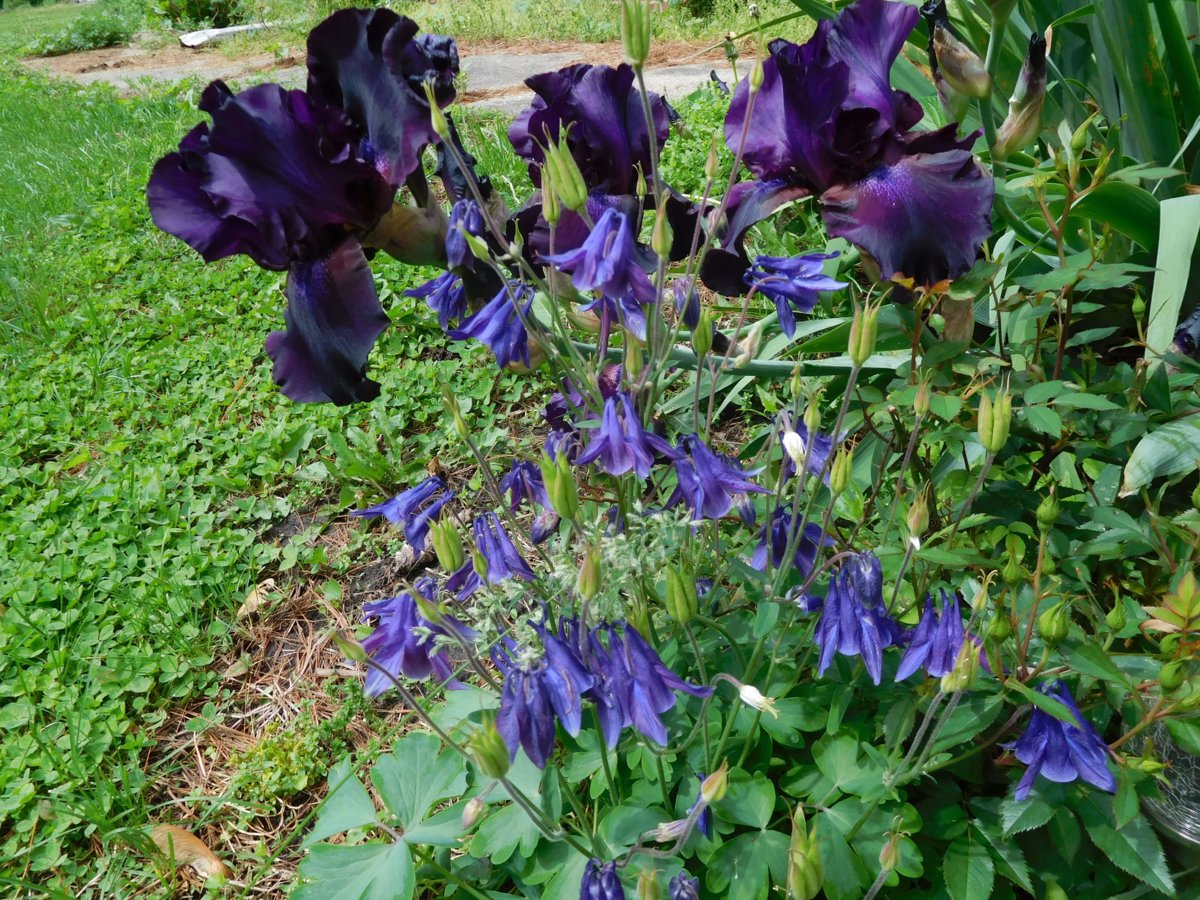 May 23 #14.jpg