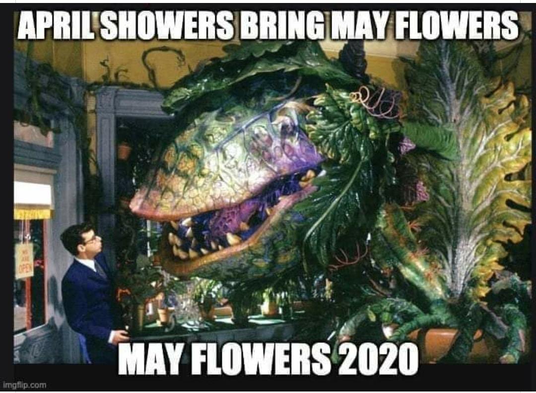may flowers 2020.jpg