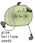 melony shop.png