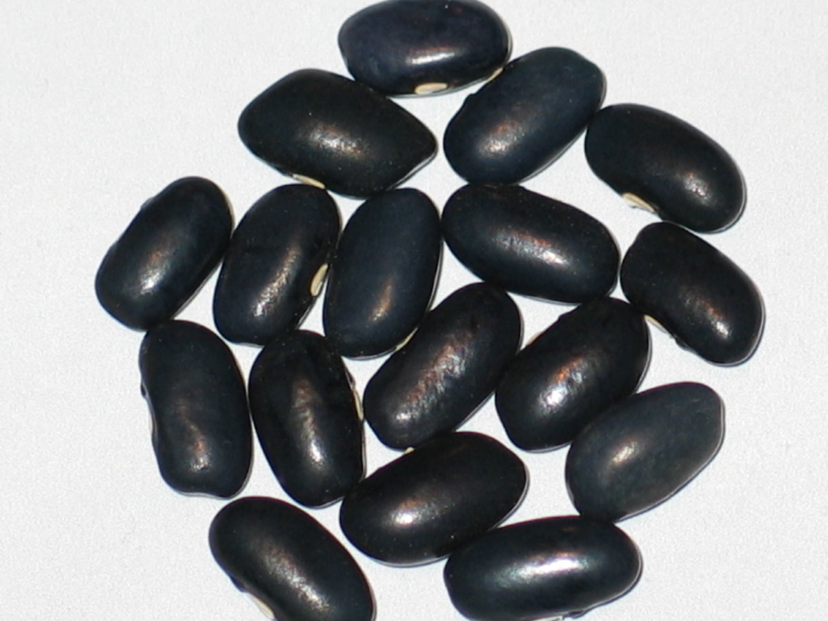 Menomenee - Black #2.jpg