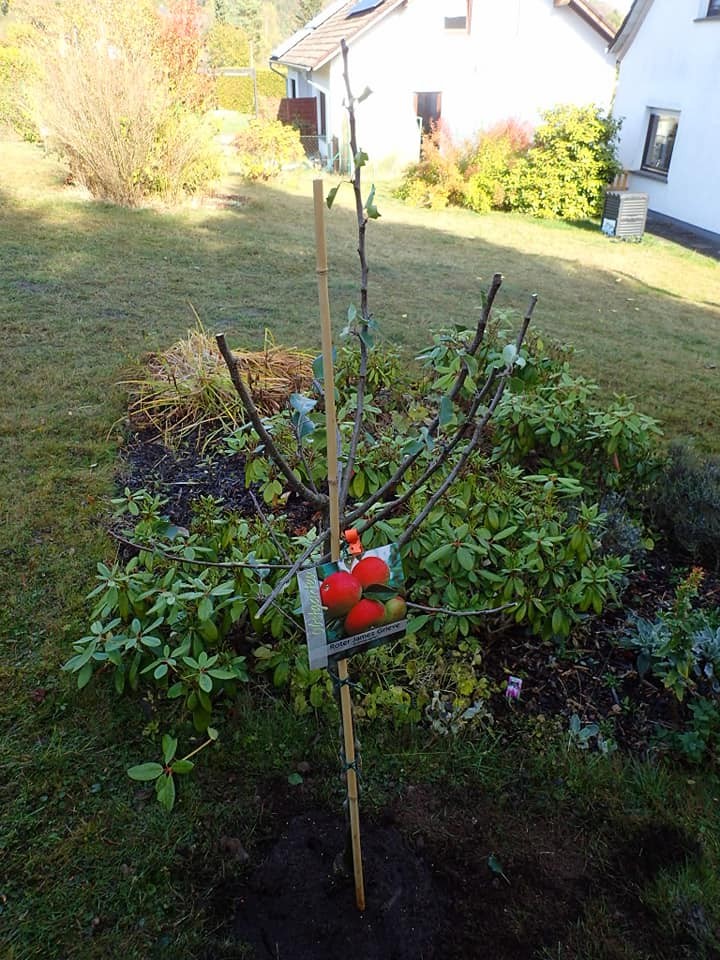 messageImage_1684345107379.jpg