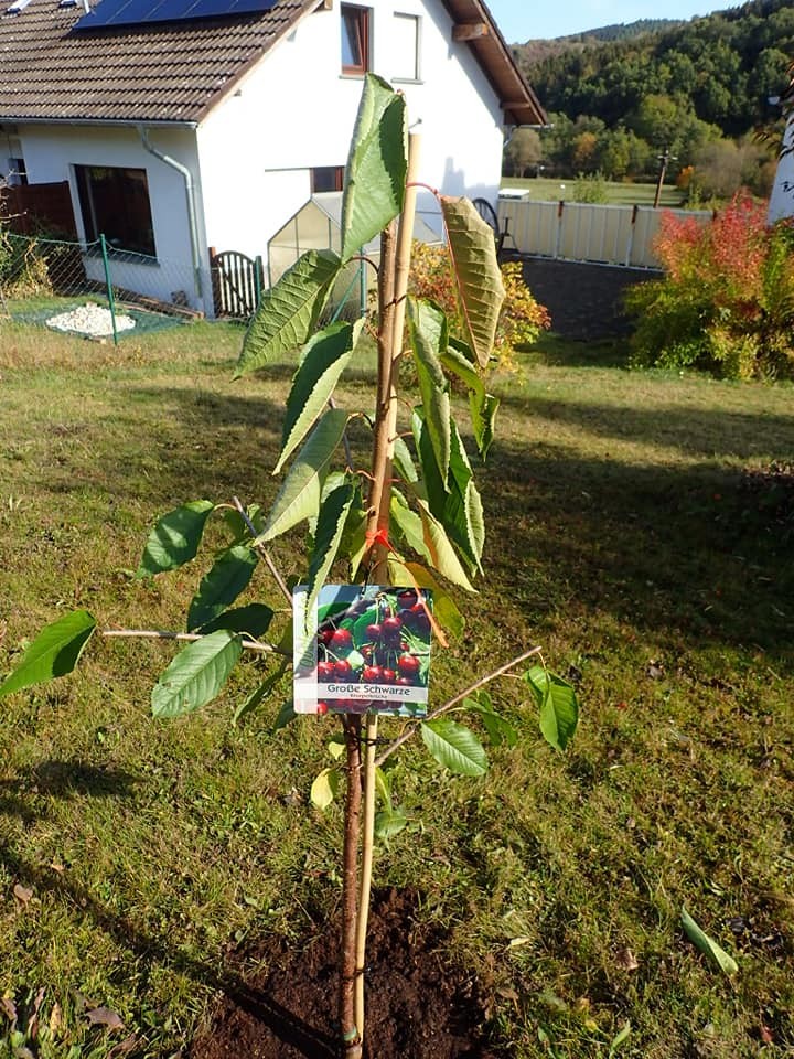 messageImage_1684345123625.jpg