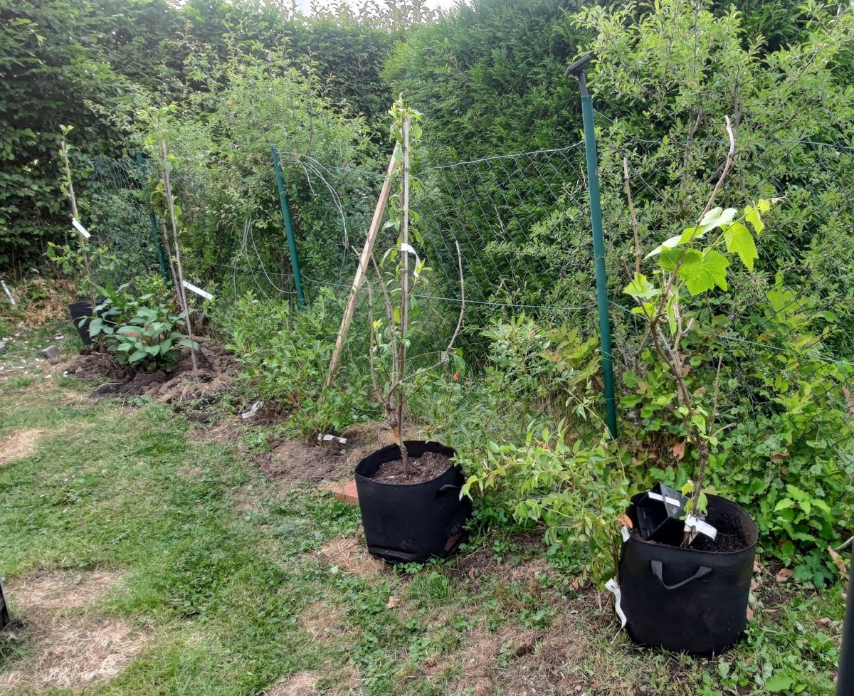 messageImage_1688313022160.jpg