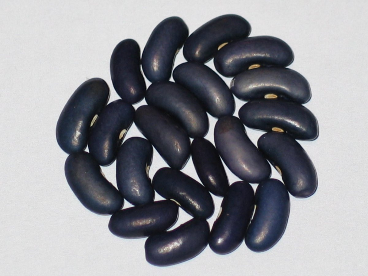 Midnight Blue.JPG