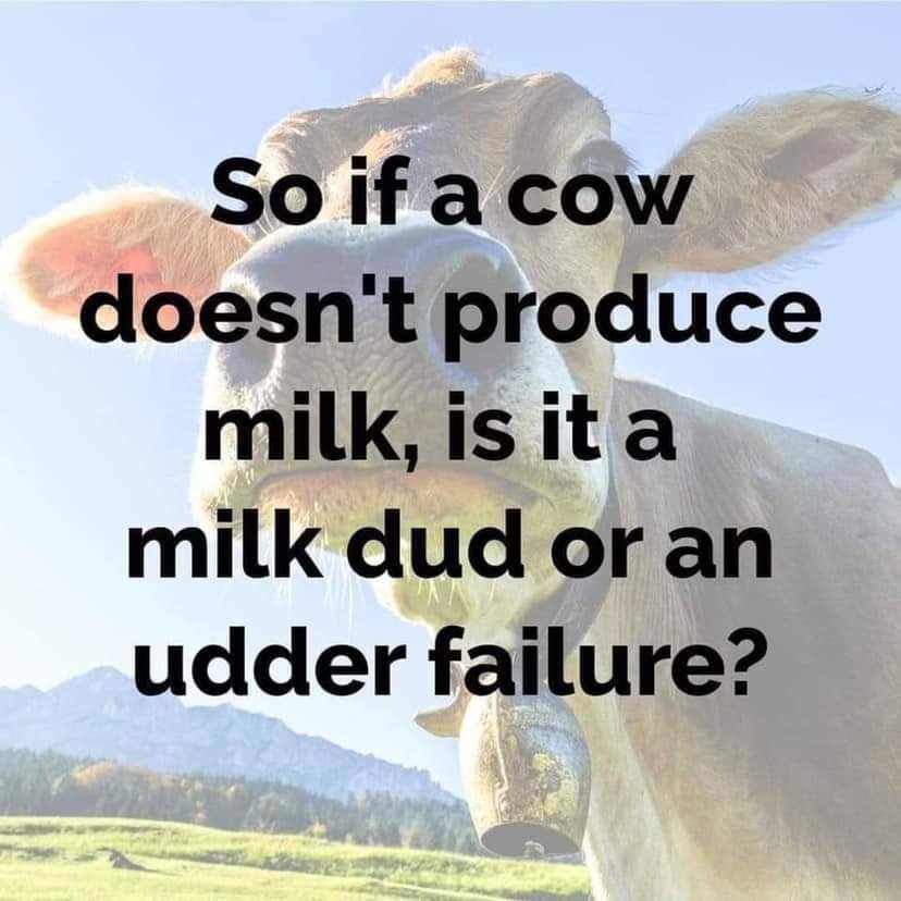 milk dud.jpg