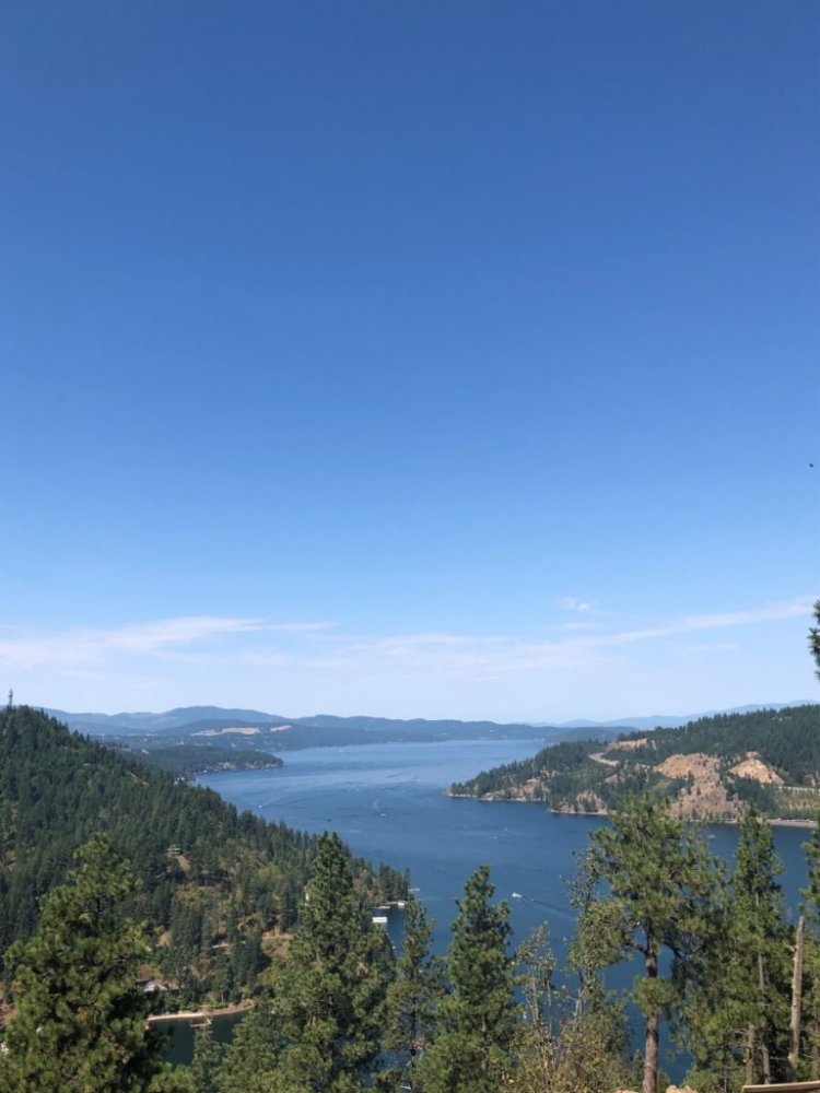 mineral-ridge-lake-view-768x1024.jpg