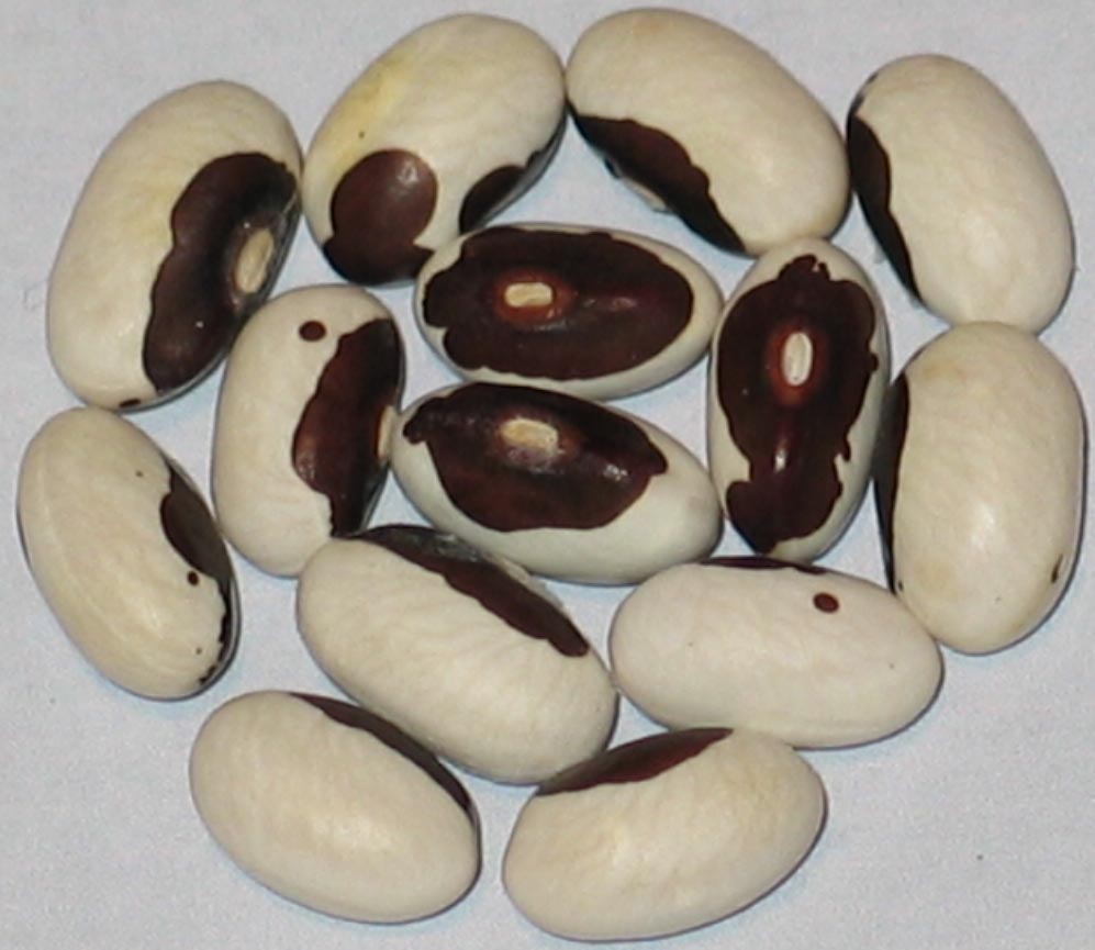 Minnestoa 1940's kb.jpg