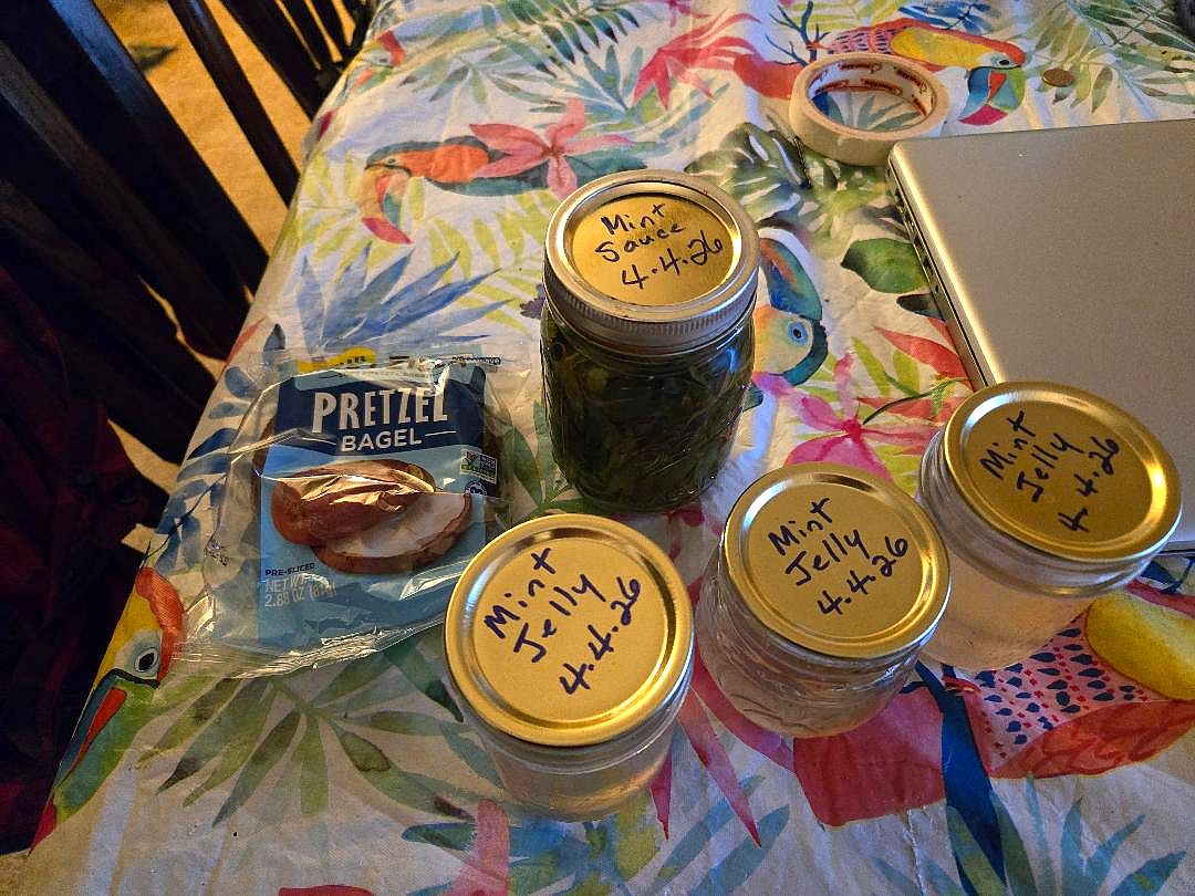 Mint sauce & jelly, 04-04-26, #3.jpg