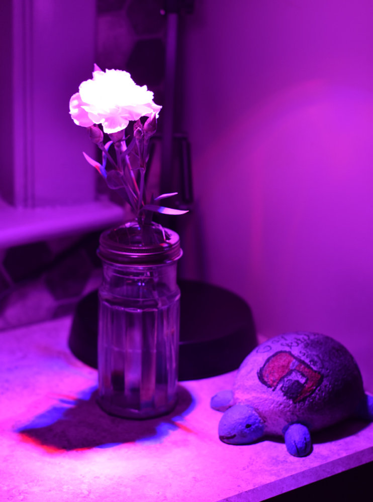 Miss Aroma 72.jpg