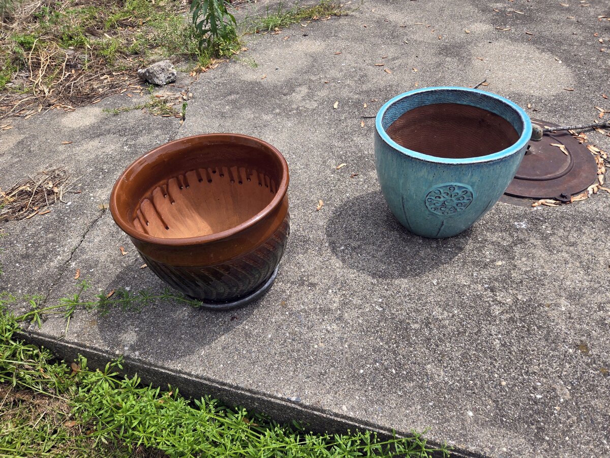 Mothers Day pots, 2025.jpg