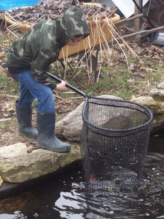 moving fish 3-30-19.jpg 2.jpg