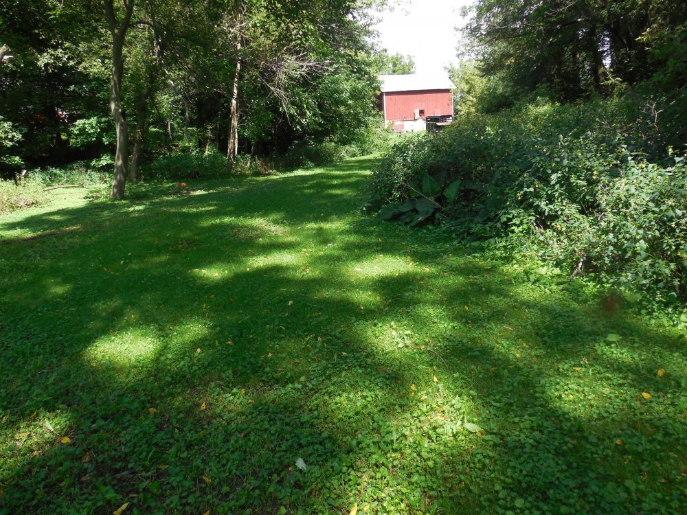 mowed area.JPG