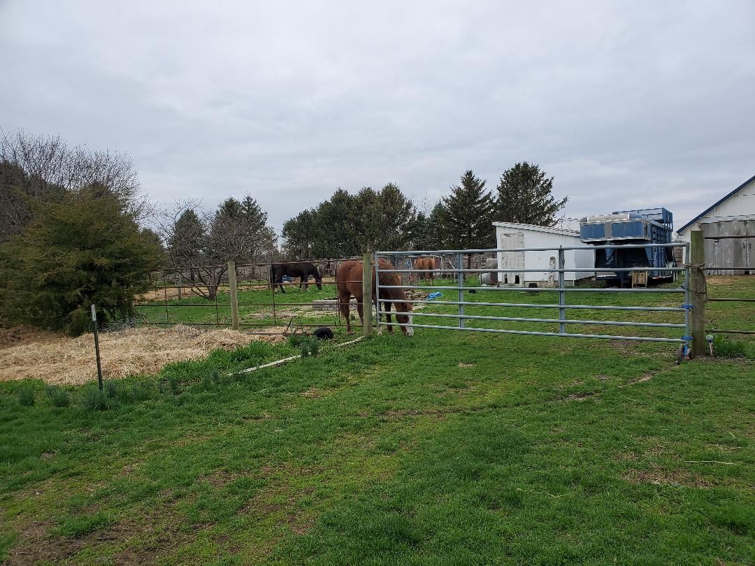 Mowing, 03-31-2020.jpg