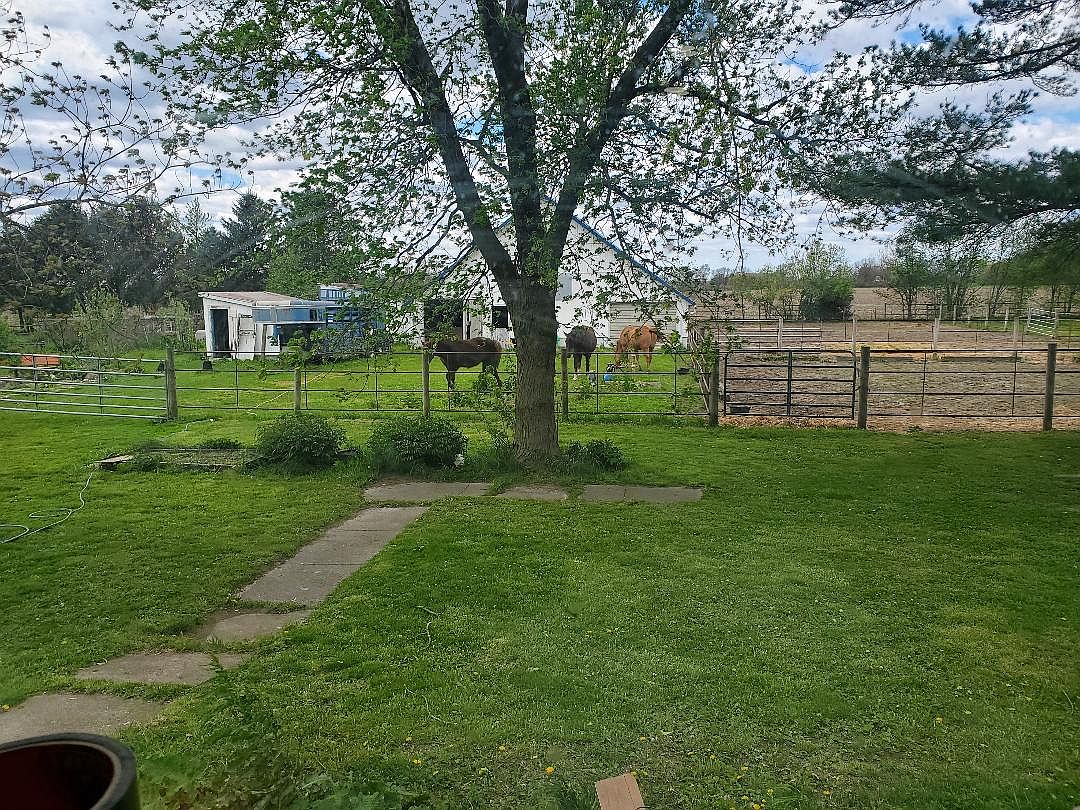 Mowing, 05-02-23.jpg