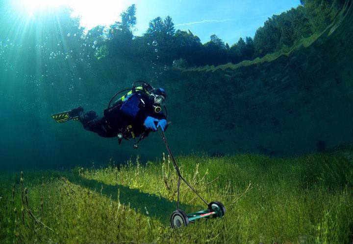 mowing.jpg