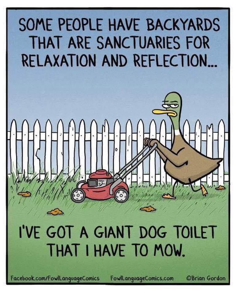 mowing the dog toilet.jpg