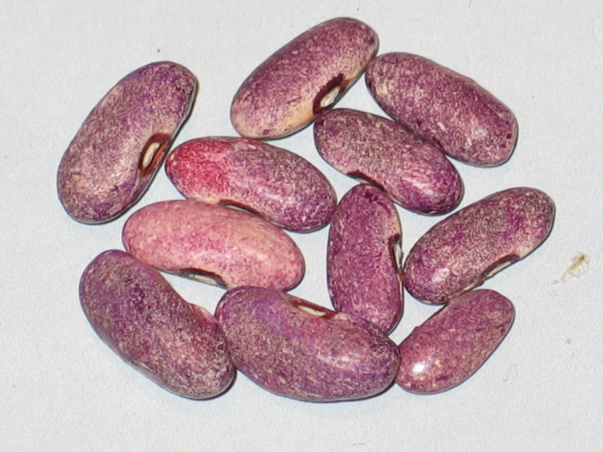 Mrociumere #1.jpg