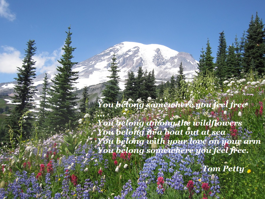 mt-rainier-summer-wildflowers-jpg.37257