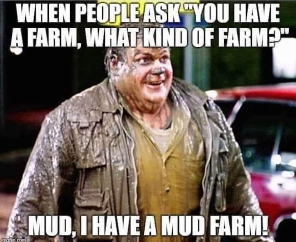 mud farm.jpg