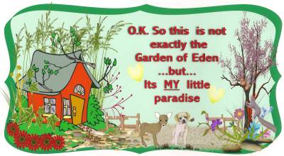 my-little-paradise.jpg