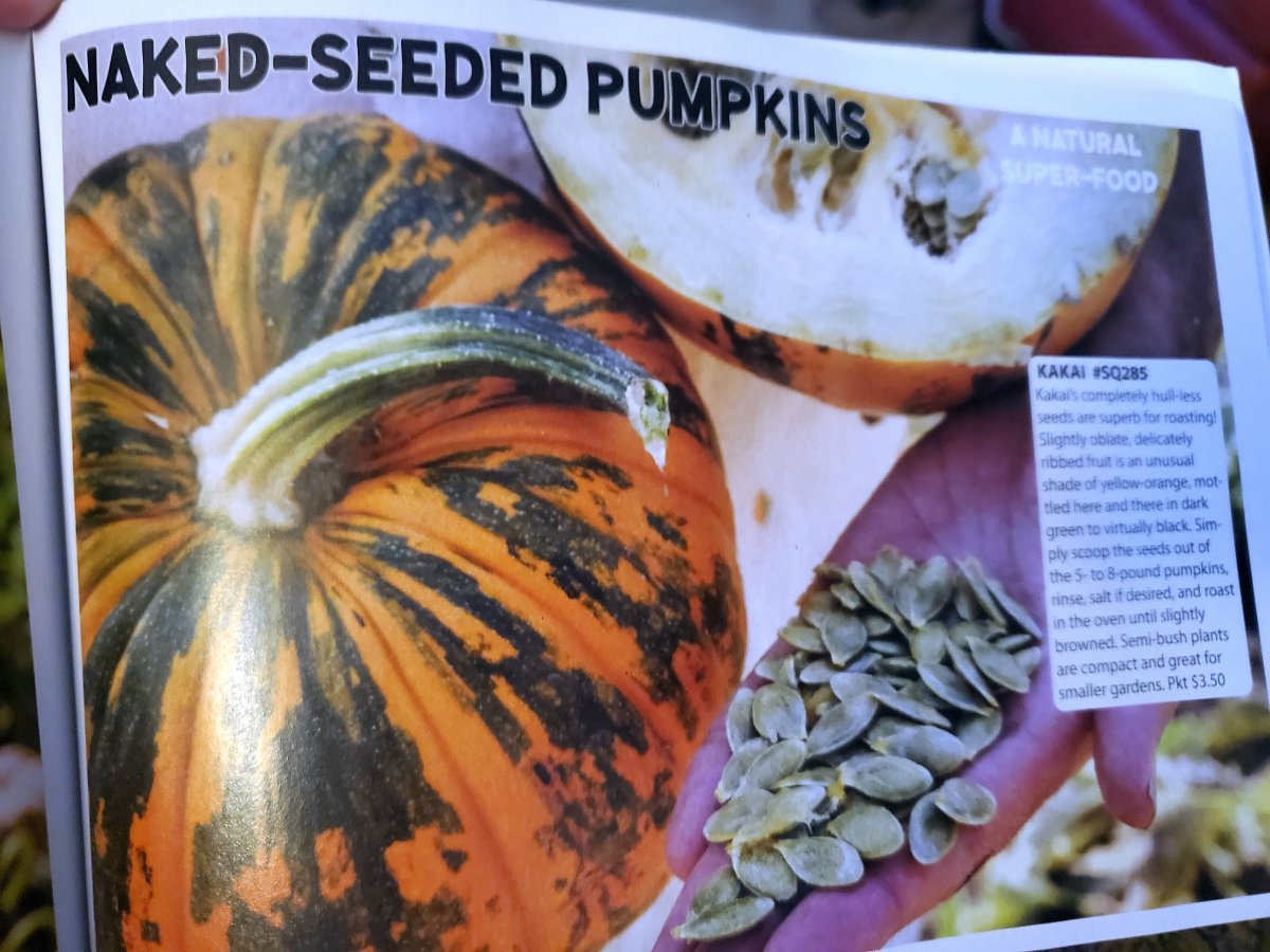 Naked seeded pumpkin photo.jpg