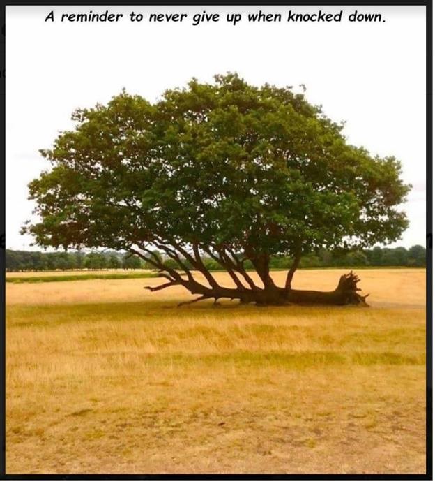 never give up.jpg
