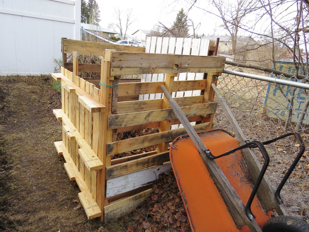 new compost 2.JPG