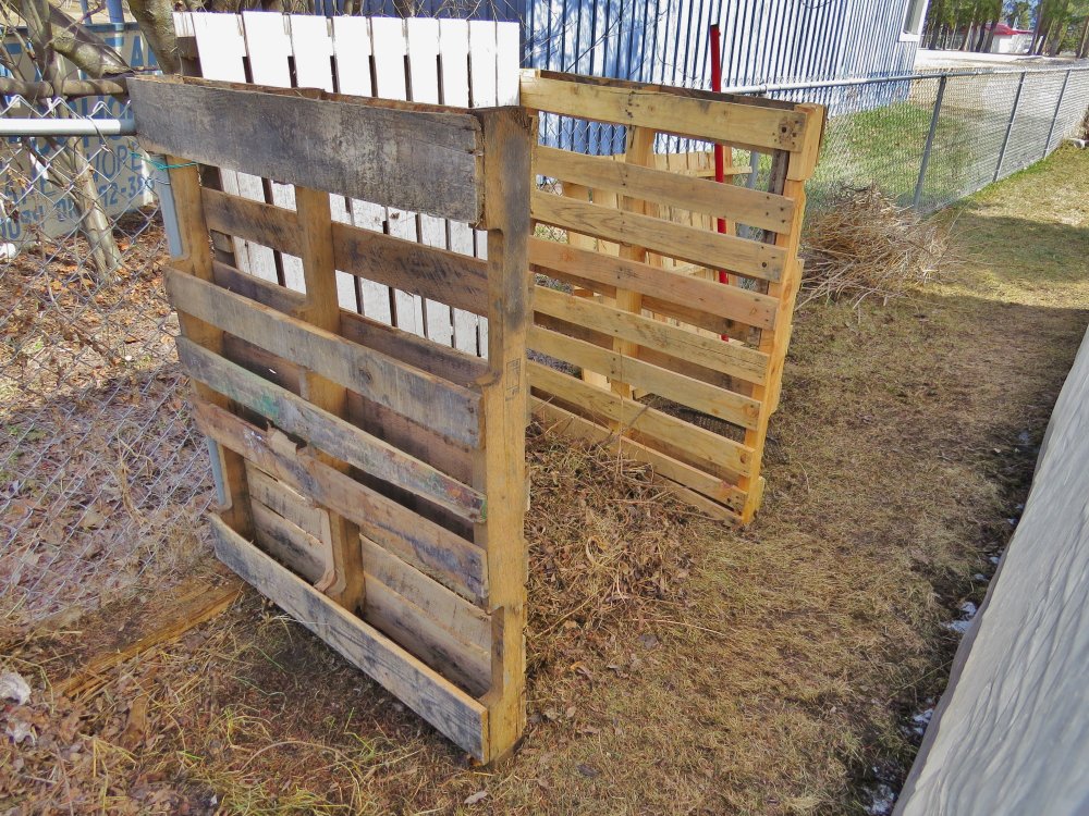 new compost.JPG
