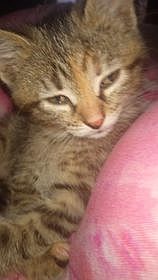 New furrworm, 01-25-24.jpg