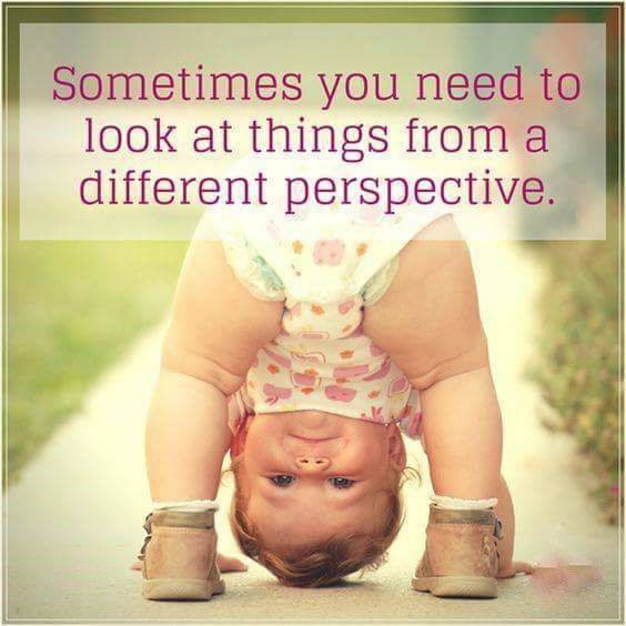 new perspective.jpg