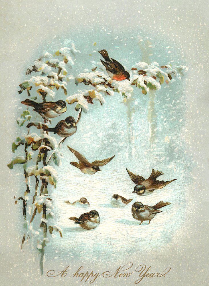 New-Year-Birds-FridayFreebie-GraphicsFairy.jpg
