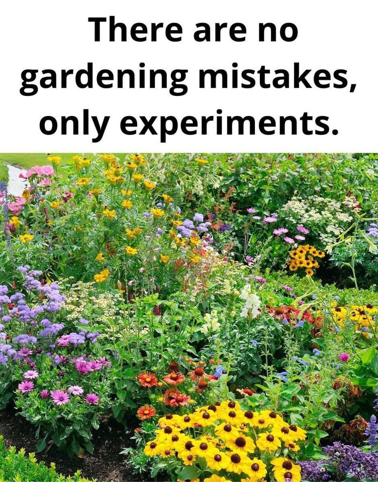 no mistakes.jpg