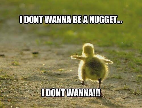 no nuggets.jpg