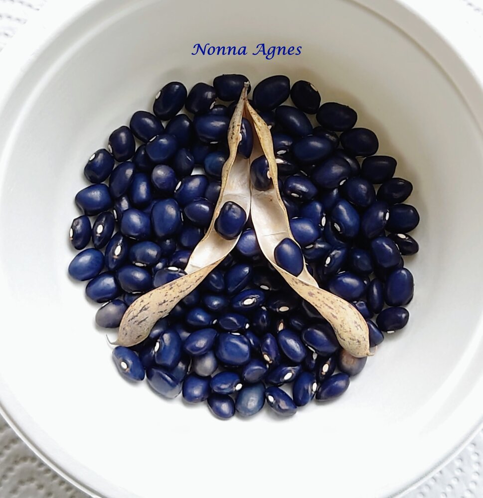 Nonna_Agnes_b_DSC_8284~2.jpg
